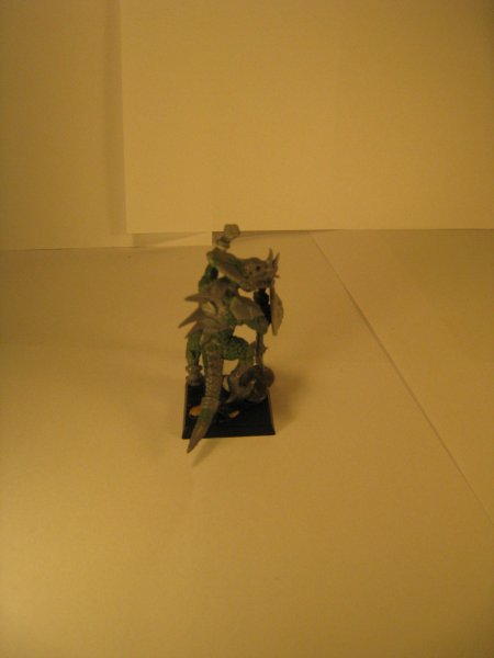 img2257q.jpg