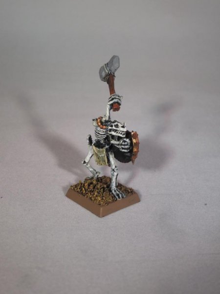 UndeadSaurusWarrior2_zpsbab01e65.jpg