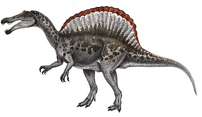 SpinosaurusC.jpg