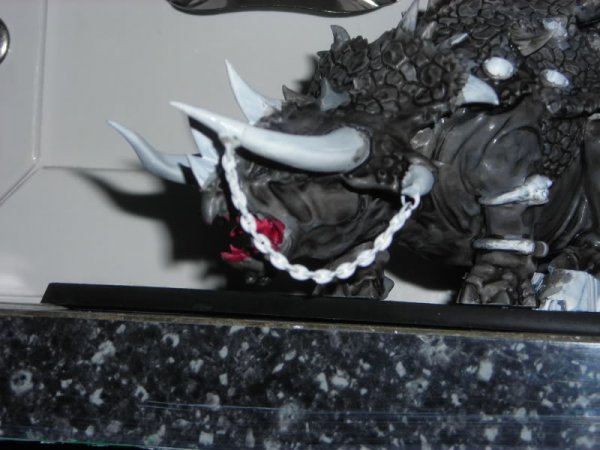 DSCN1660.jpg