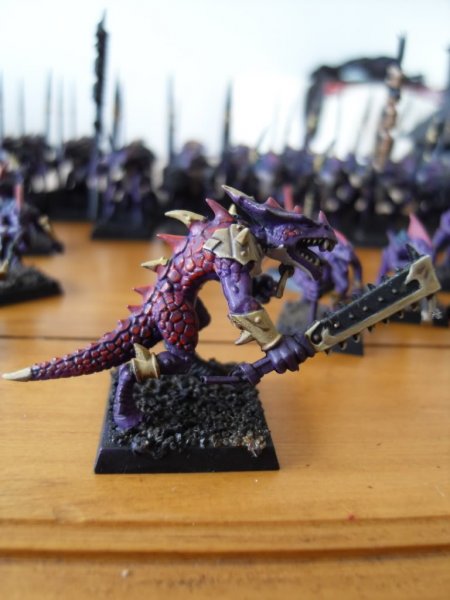 skinks008.jpg