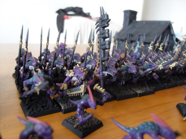 skinks011.jpg