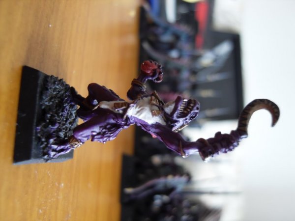 skinks014.jpg