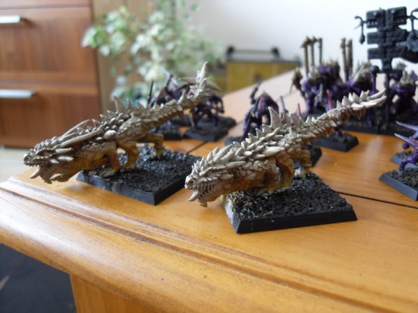 skinks010.jpg
