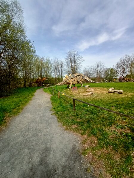 IMG20240401113142.jpg