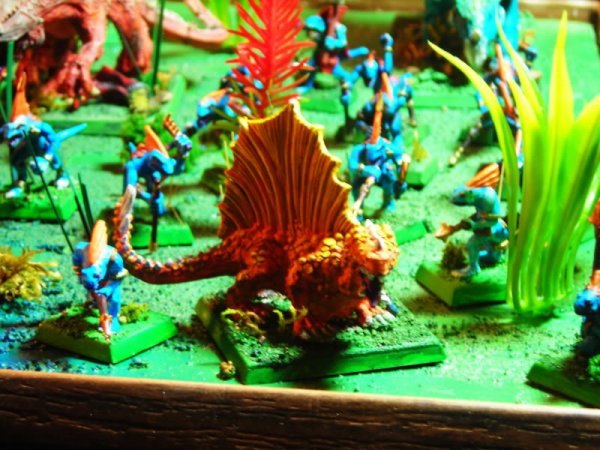 salamander2.jpg