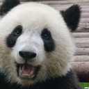 avatar_eba5103a142b_128.png