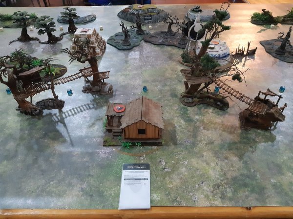 Obj 6_village.jpg