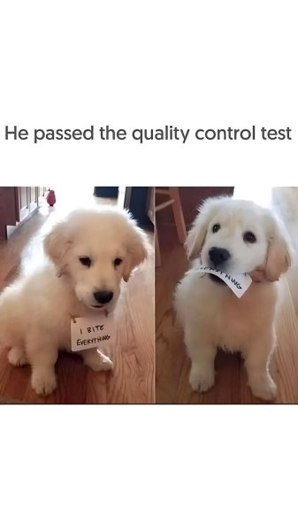 488910762_642444961902159_4535855296867453756_n.jpg