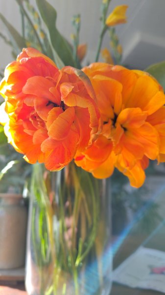 IMG_20250406_120904.jpg