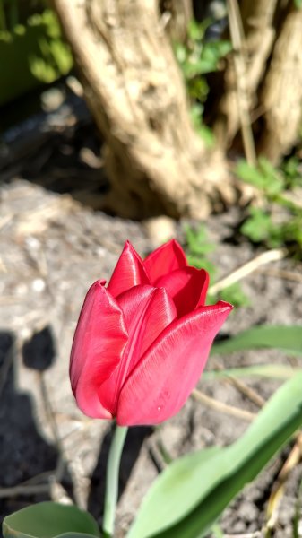 IMG_20250408_145505.jpg