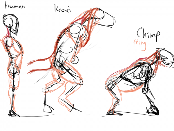korxmuscle1.png