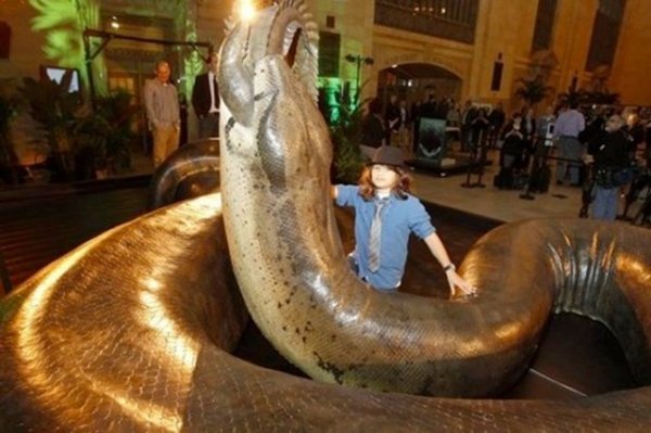 Le Smithsonian met à disposition un aperçu du documentaire avec un ___.jpg