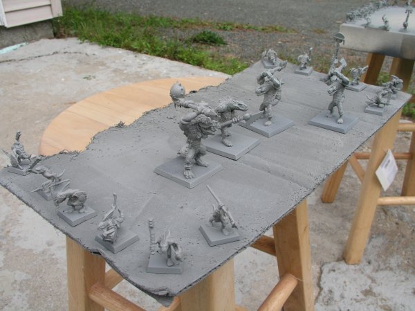 SkinkPriming001.jpg