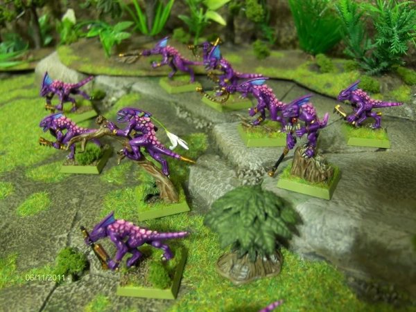 Skinks2.jpg