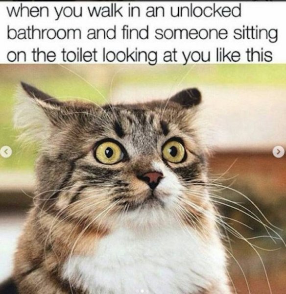 funny7.jpg