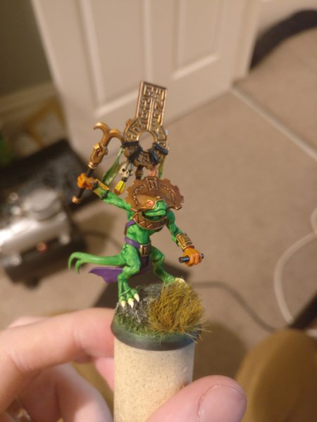Skink oracle.jpg