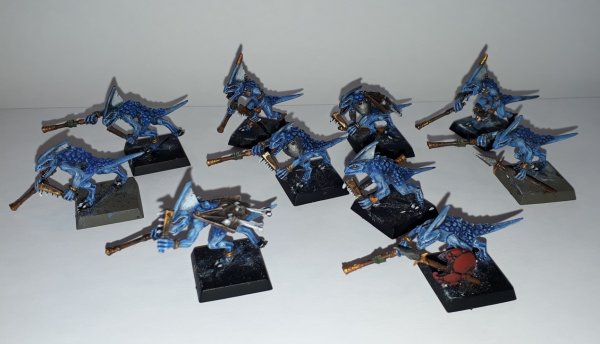 Skinks.jpg