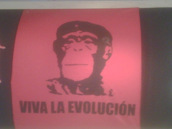 T-Shirt Joke 19.jpg