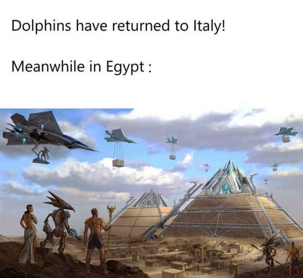 92747353_3377670942247615_5780824490615242752_n.jpg