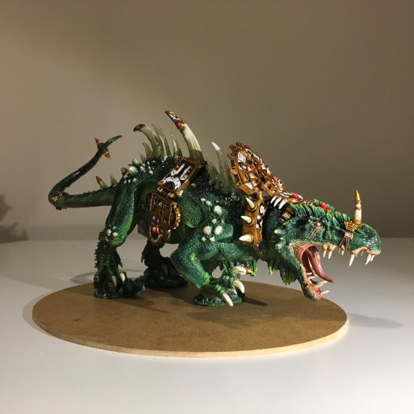 DS5.jpg
