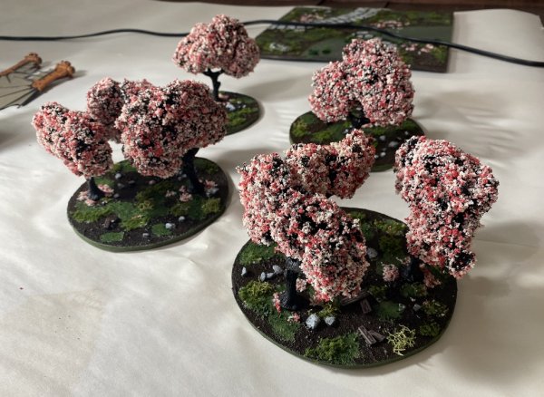 warden20200927_cherry tree bases 03.jpg